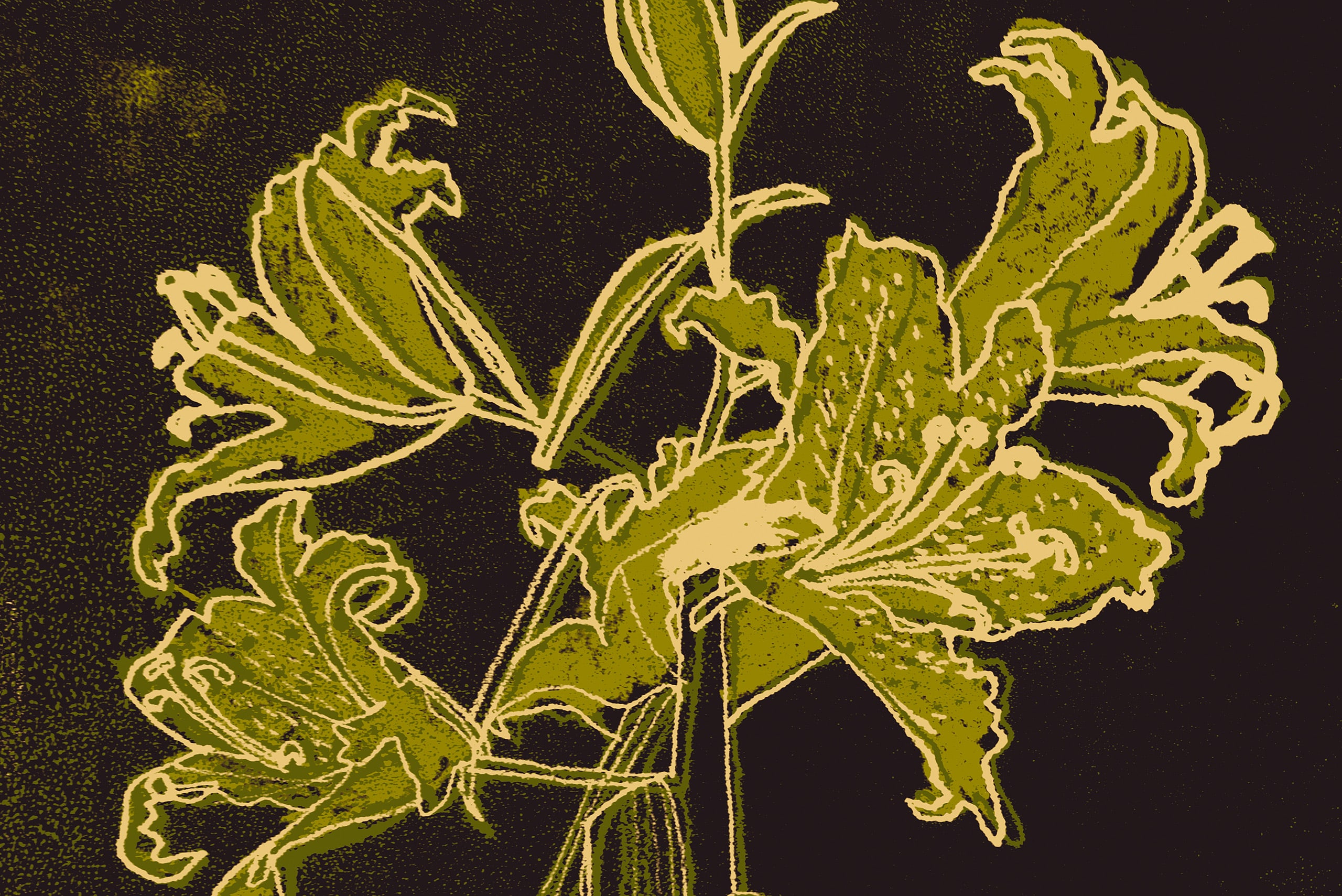 théâtre populaire romand